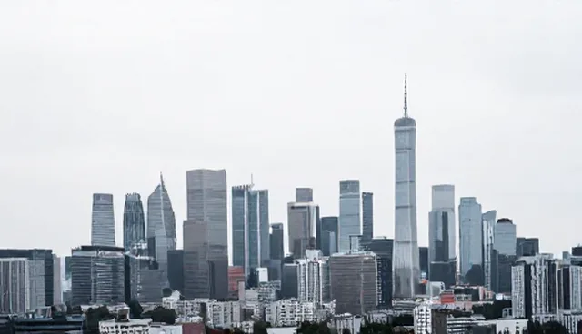 提升数据透明度的5个检查要点与处理方法